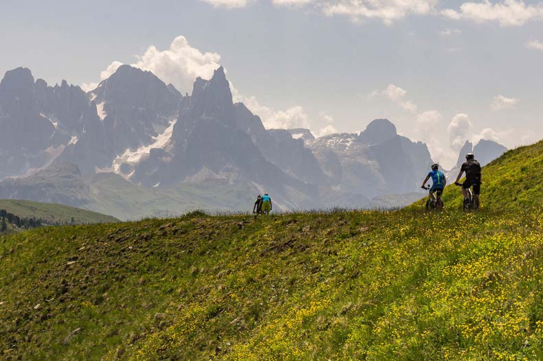 Colli di Coppi