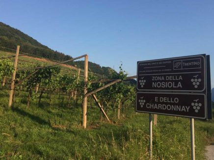 Hotel Chalet del Sogno