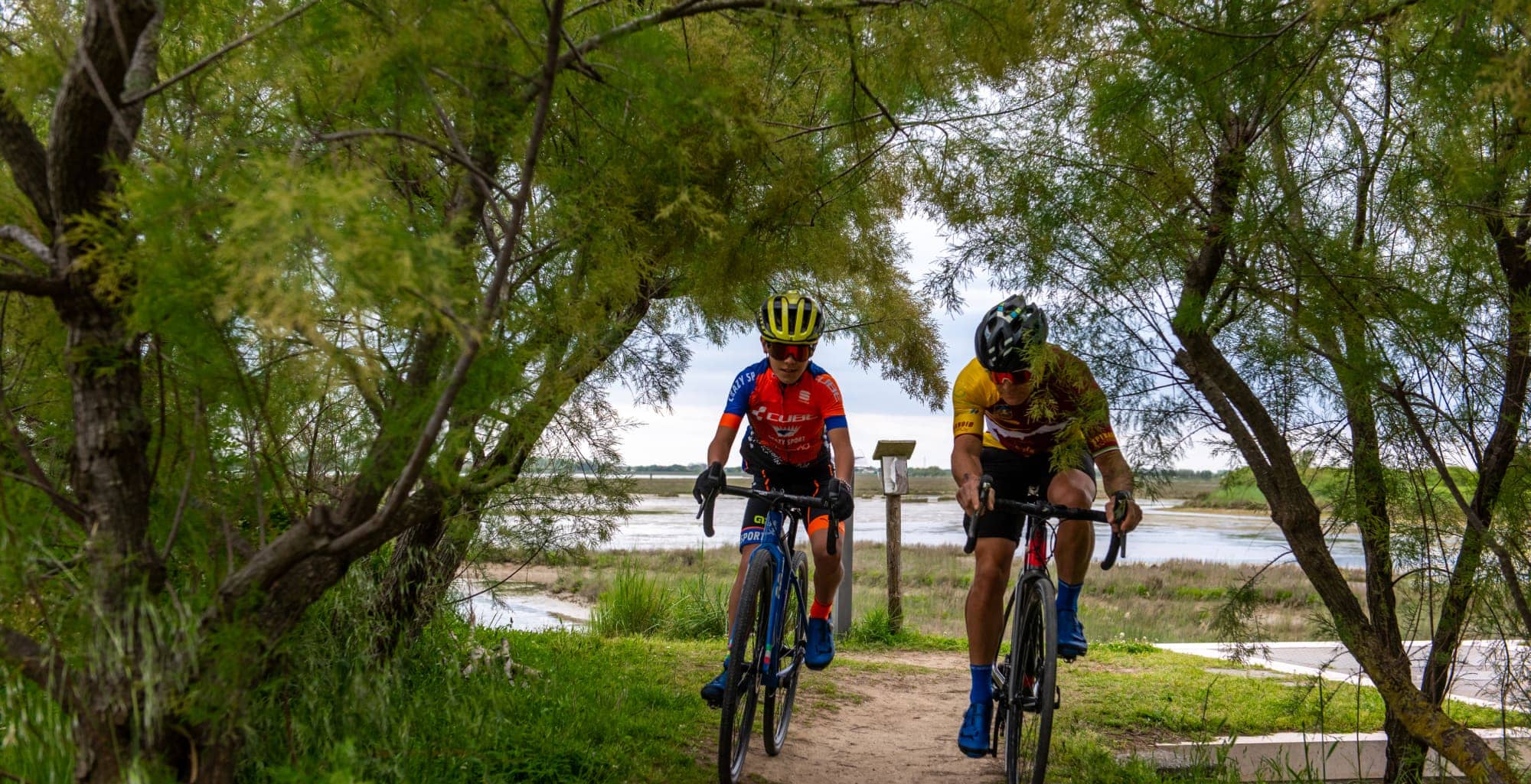 On the dirt road banks between the Sile and Piave Rivers