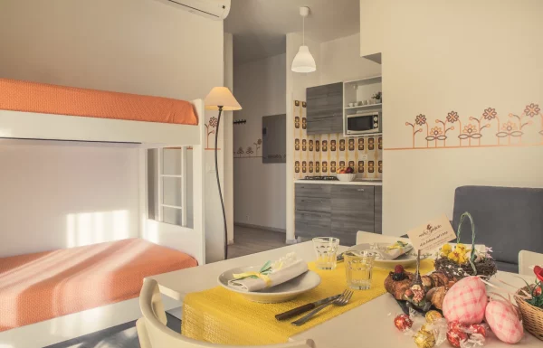 Superior studio apartment