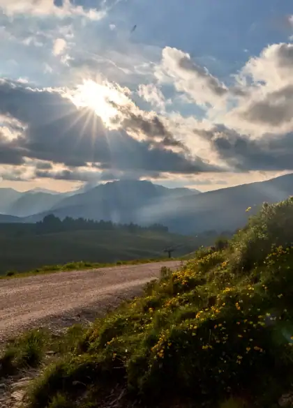 Dolomites and South Tyrol