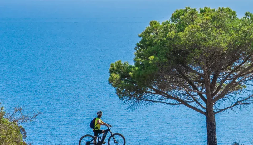 Bike and Taste: the best dishes to enjoy while cycling in Italy