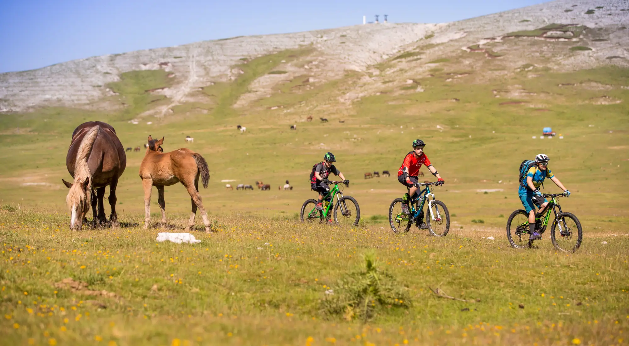 <span>LEISURE</span> holidays by bike and e-bike