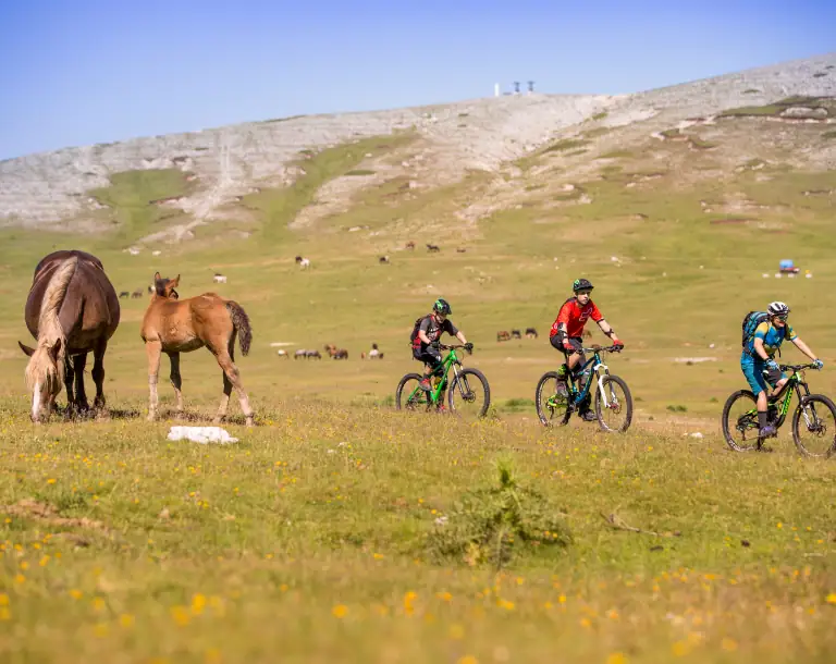 <span>LEISURE</span> holidays by bike and e-bike