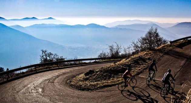 PIRATE versus SHARKS