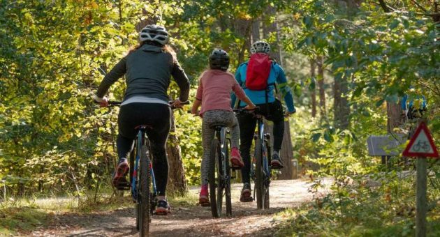 BETWEEN HISTORY AND NATURE