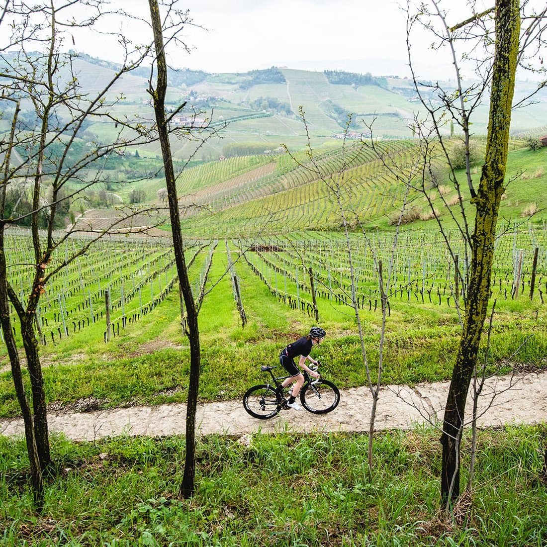 Bike and Taste: the best dishes to enjoy while cycling in Italy