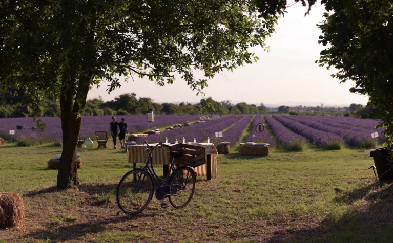 Agriturismo Il Molinello