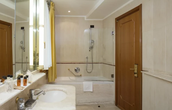 Standard double room