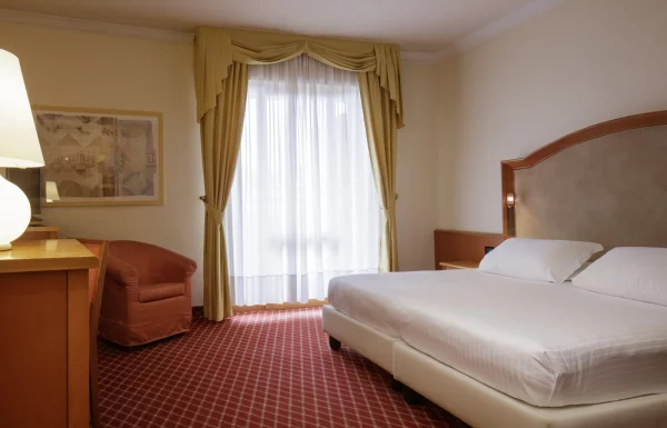 Standard double room
