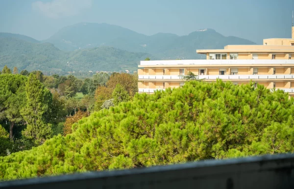 Standard double room for single use