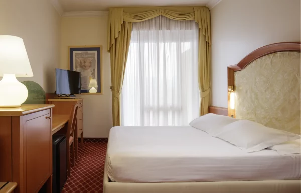 Standard double room for single use