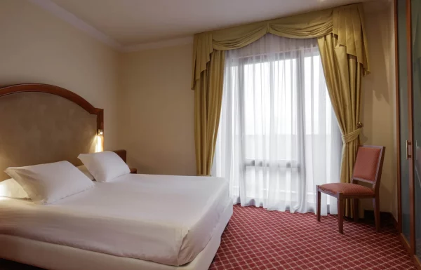 Standard double room for single use